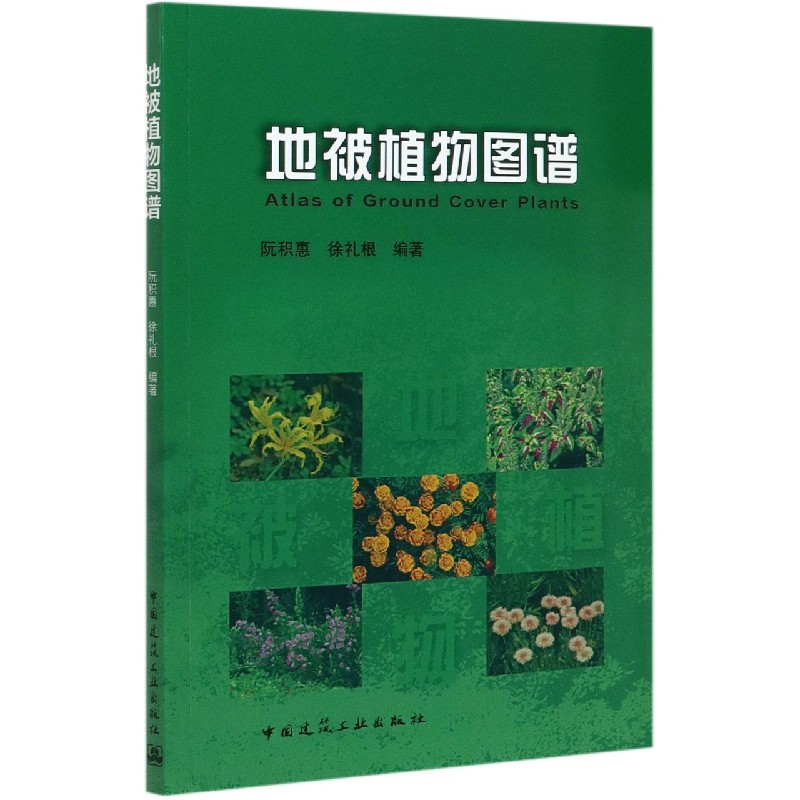 地被植物图谱