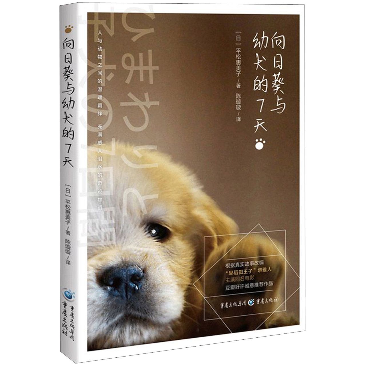 向日葵与幼犬的7天