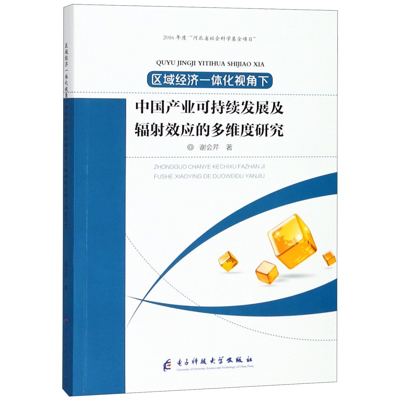 区域经济一体化视角下中国产业可持续发展及辐射效应的多维度研究