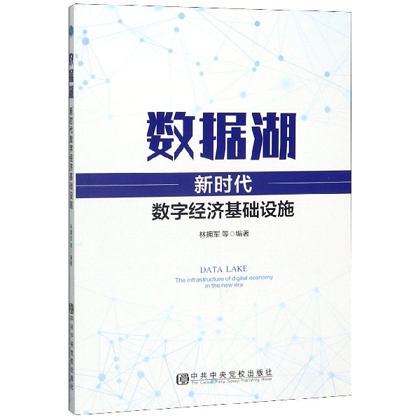 数据湖(新时代数字经济基础设施)