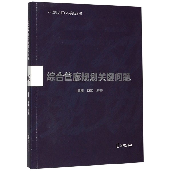 综合管廊规划关键问题/行动规划研究与实践丛书