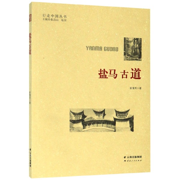 盐马古道/行走中国丛书