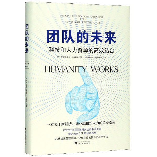 团队的未来(科技和人力资源的高效结合)(精)