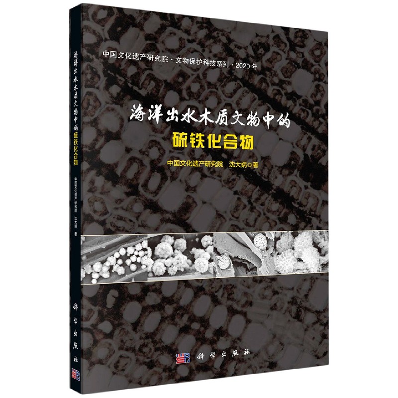 海洋出水木质文物中的硫铁化合物（2020年）（精）/中国文化遗产研究院文物保护科技系列