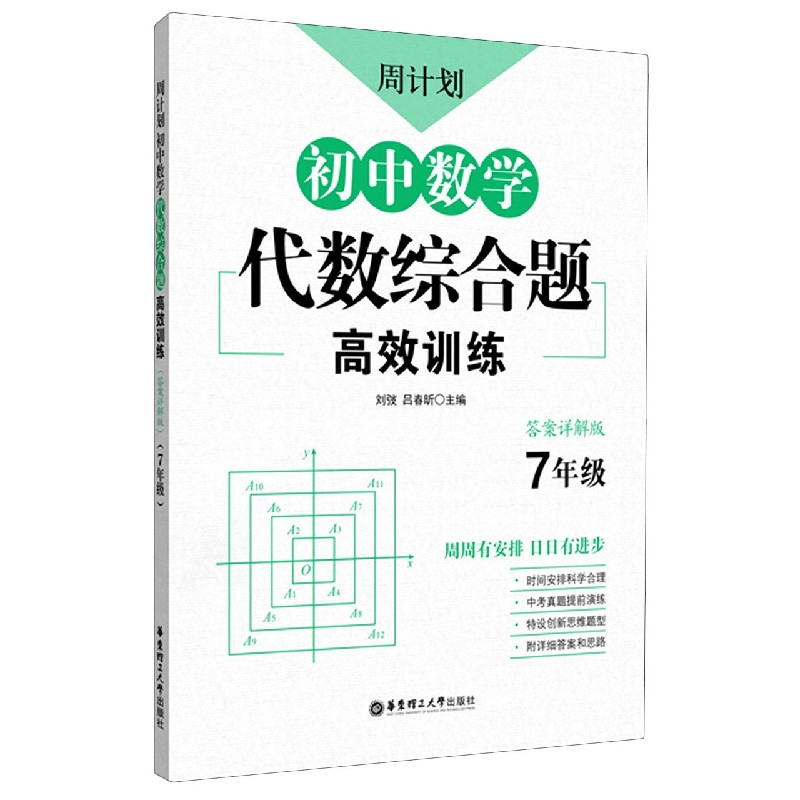 初中数学代数综合题高效训练（7年级答案详解版）/周计划