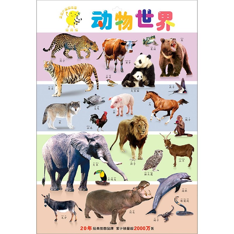 动物世界（经典版）/金葫芦双面挂图