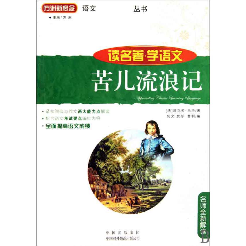 苦儿流浪记(名师全新解读)/读名著学语文/语文丛书