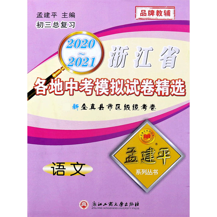 语文（初3总复习）/2020-2021浙江省各地中考模拟试卷精选