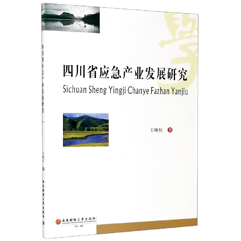 四川省应急产业发展研究