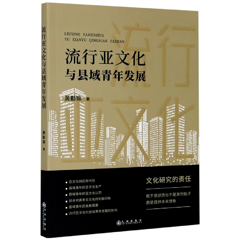 流行亚文化与县域青年发展