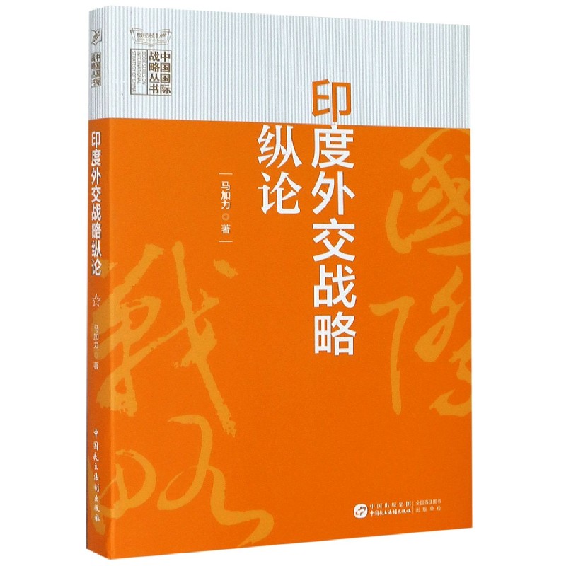 印度外交战略纵论/中国国际战略丛书