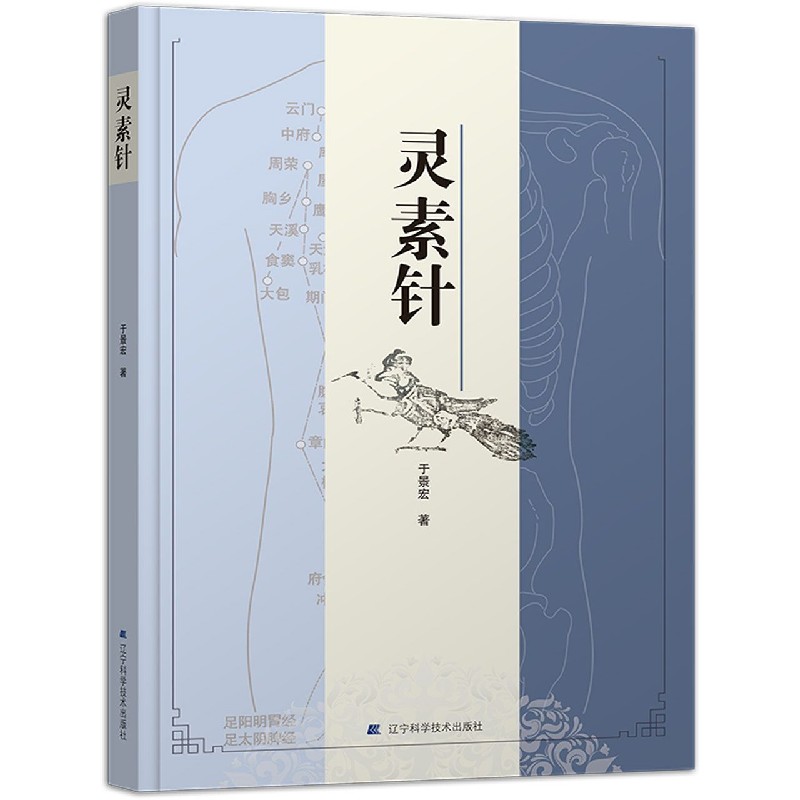 灵素针（精）