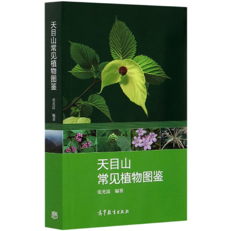 天目山常见植物图鉴