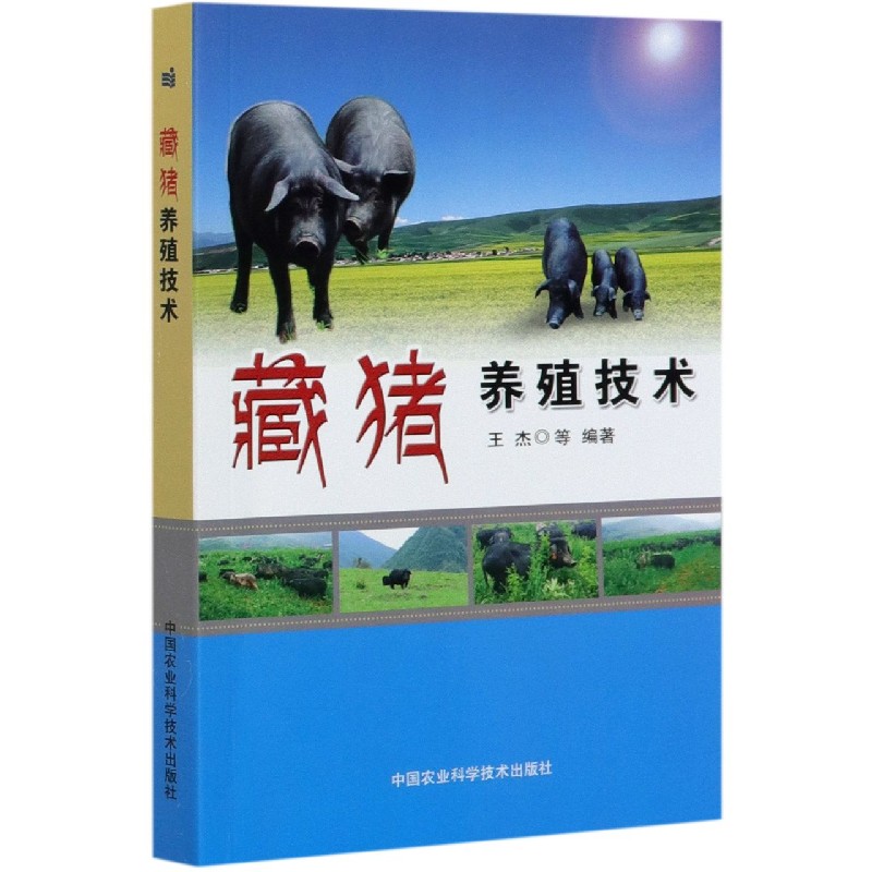 藏猪养殖技术