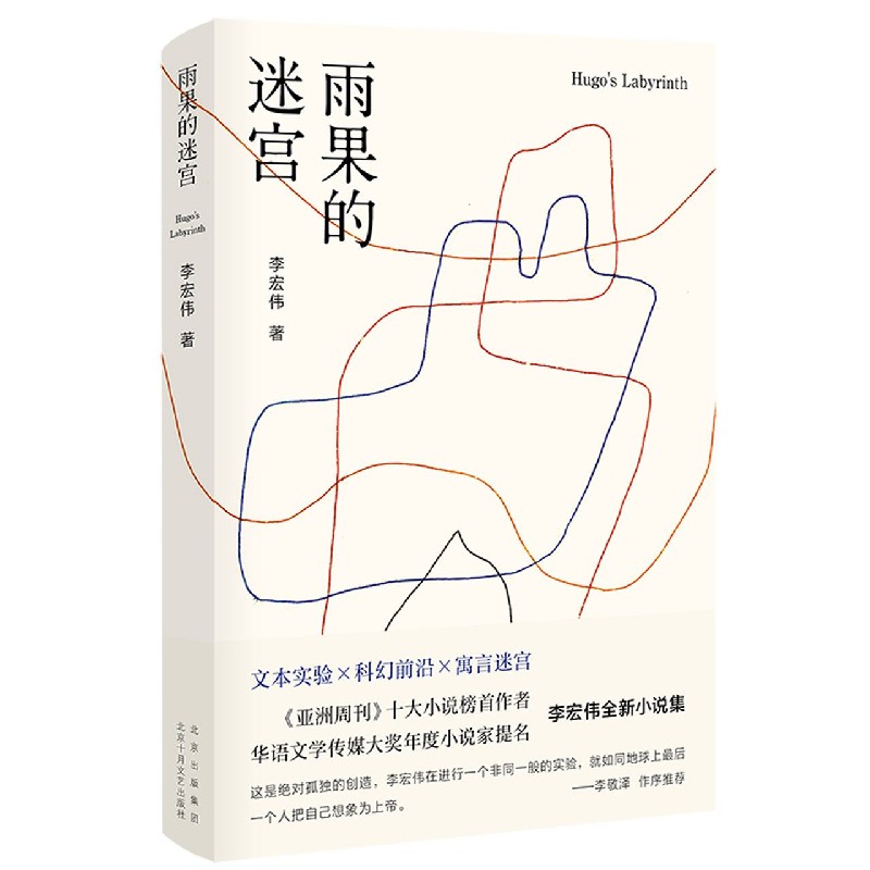 雨果的迷宫（精）