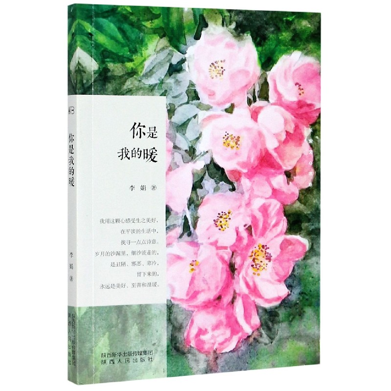 你是我的暖/长安文心书系