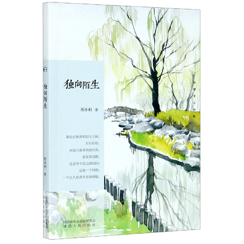 独向陌生/长安文心书系