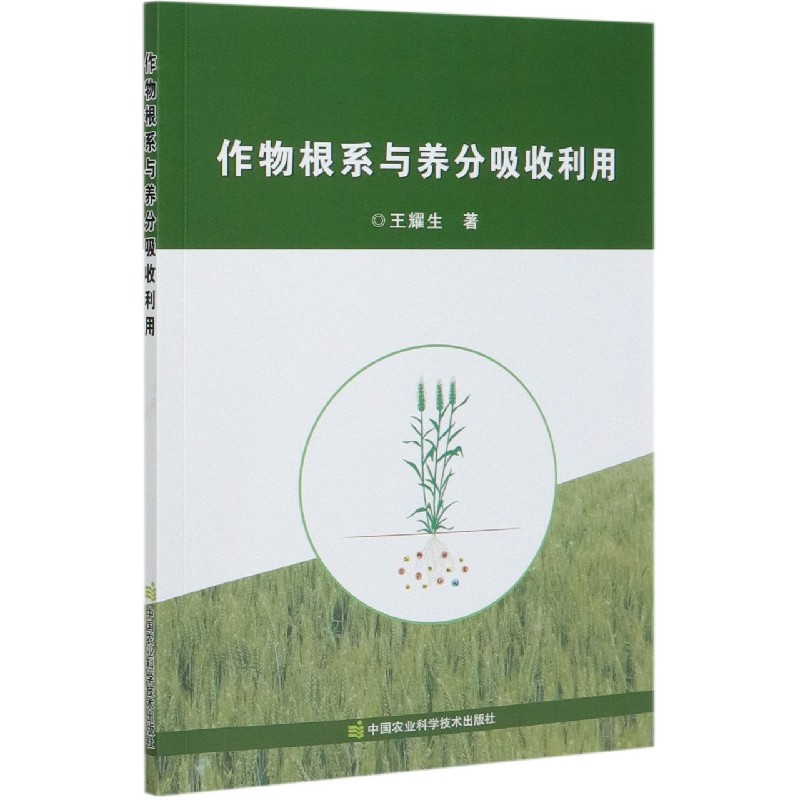 作物根系与养分吸收利用