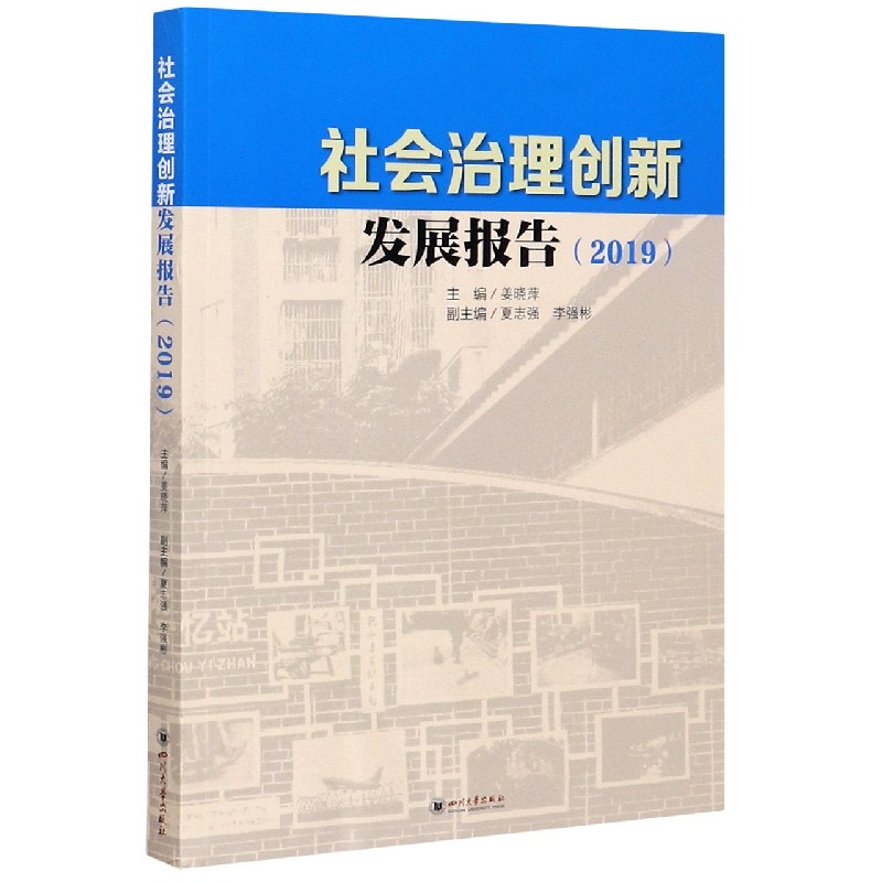 社会治理创新发展报告(2019)