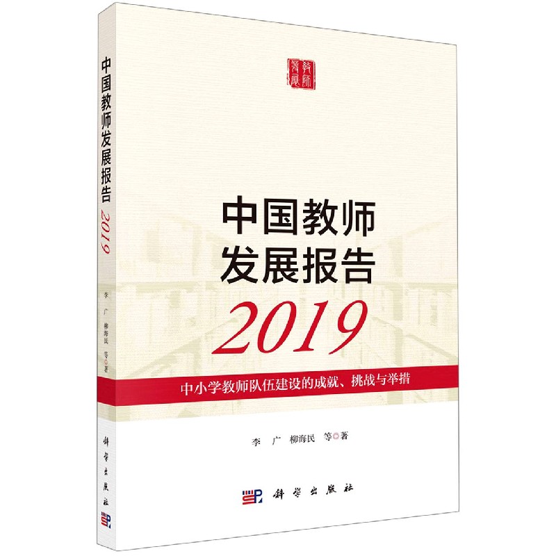 中国教师发展报告（2019中小学教师队伍建设的成就挑战与举措）