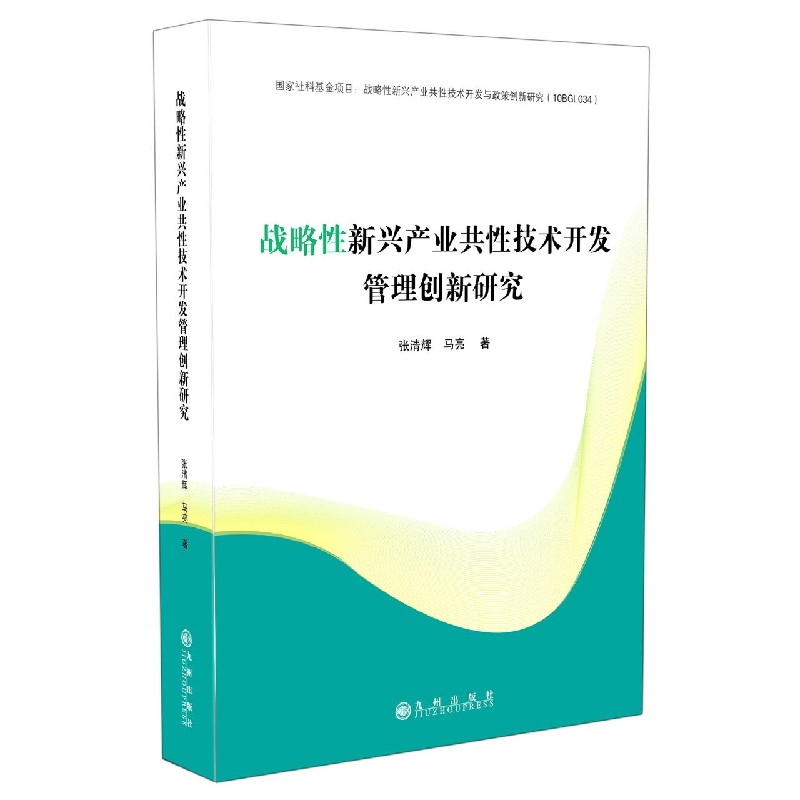 战略性新兴产业共性技术开发管理创新研究