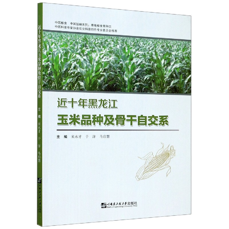 近十年黑龙江玉米品种及骨干自交系/中国粮食中国饭碗系列
