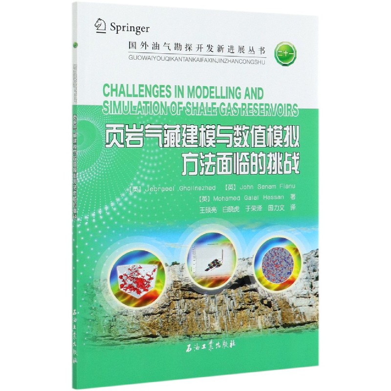 页岩气藏建模与数值模拟方法面临的挑战/国外油气勘探开发新进展丛书