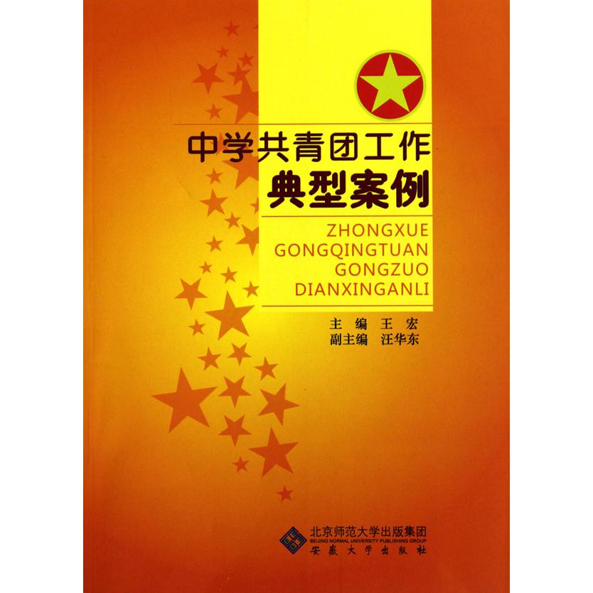 中学共青团工作典型案例