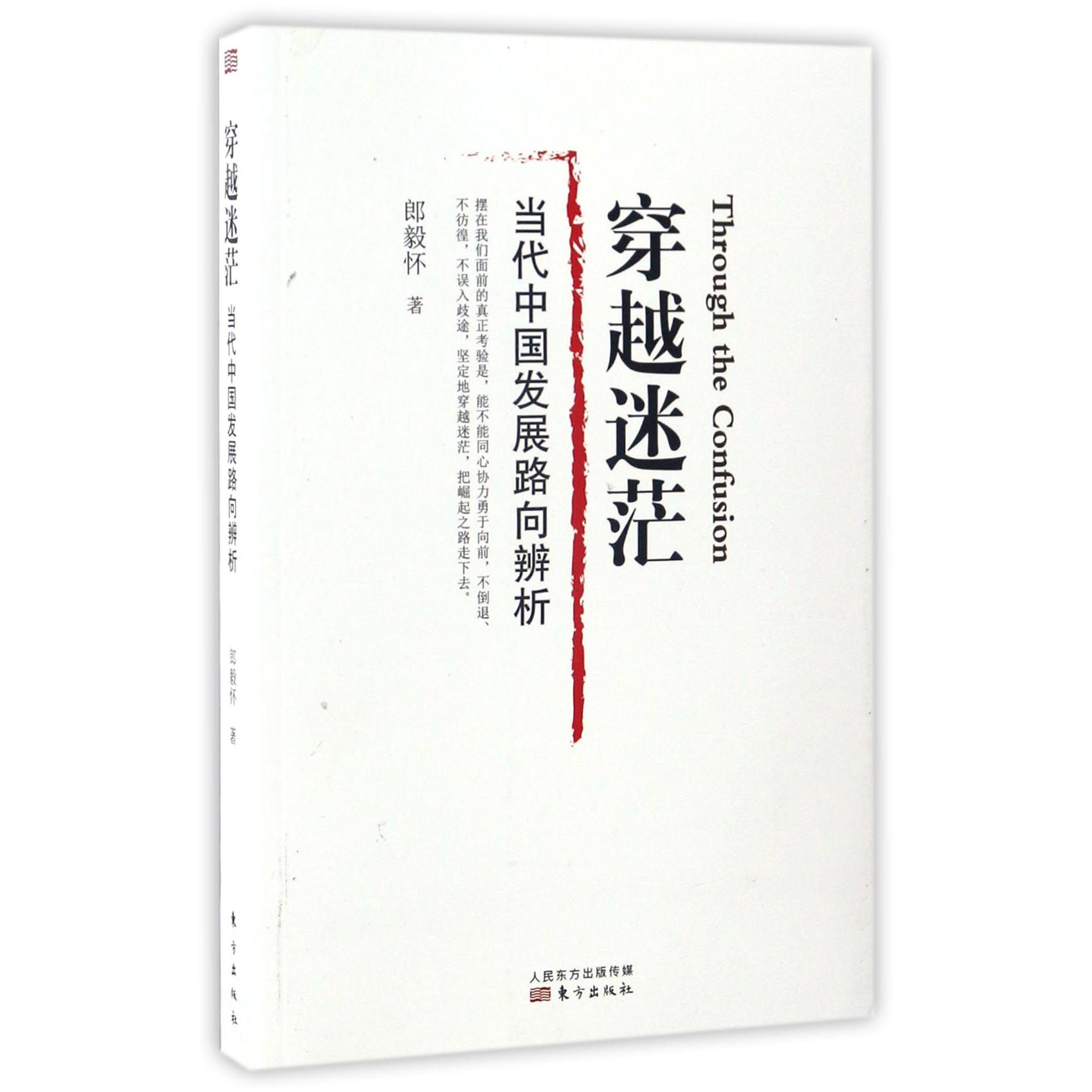 穿越迷茫（当代中国发展路向辨析）