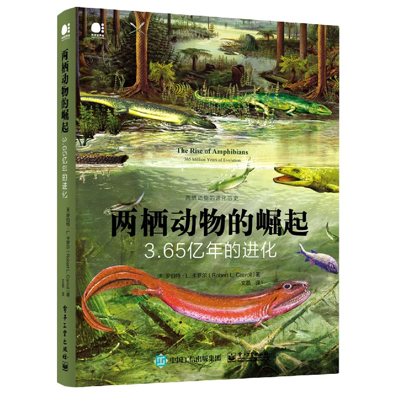 两栖动物的崛起（3.65亿年的进化）