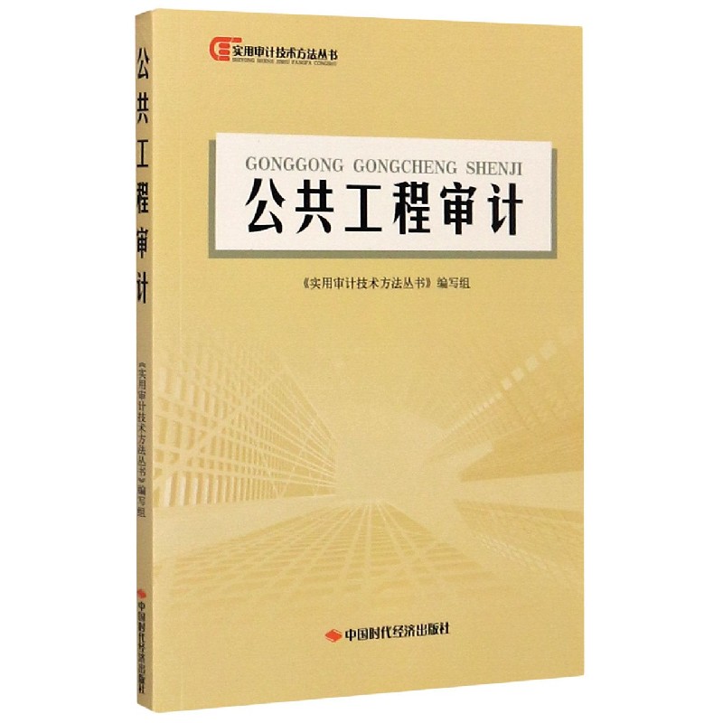 公共工程审计/实用审计技术方法丛书