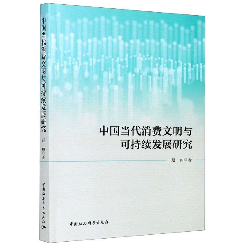 中国当代消费文明与可持续发展研究