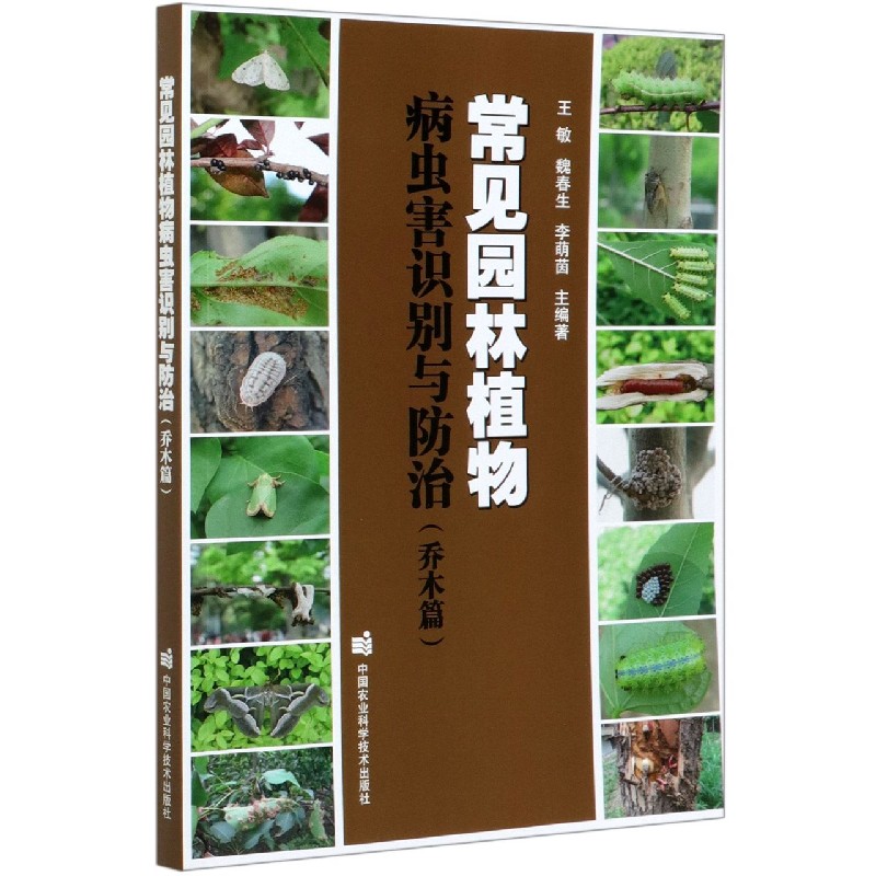 常见园林植物病虫害识别与防治（乔木篇）
