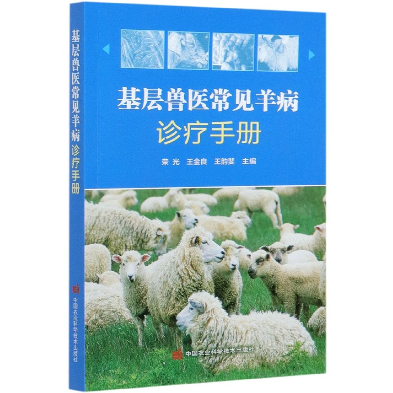 基层兽医常见羊病诊疗手册