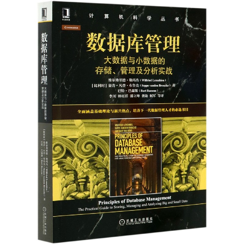 数据库管理（大数据与小数据的存储管理及分析实战）/计算机科学丛书