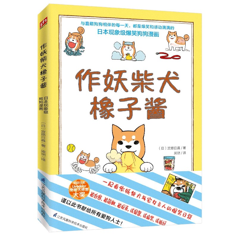 作妖柴犬橡子酱