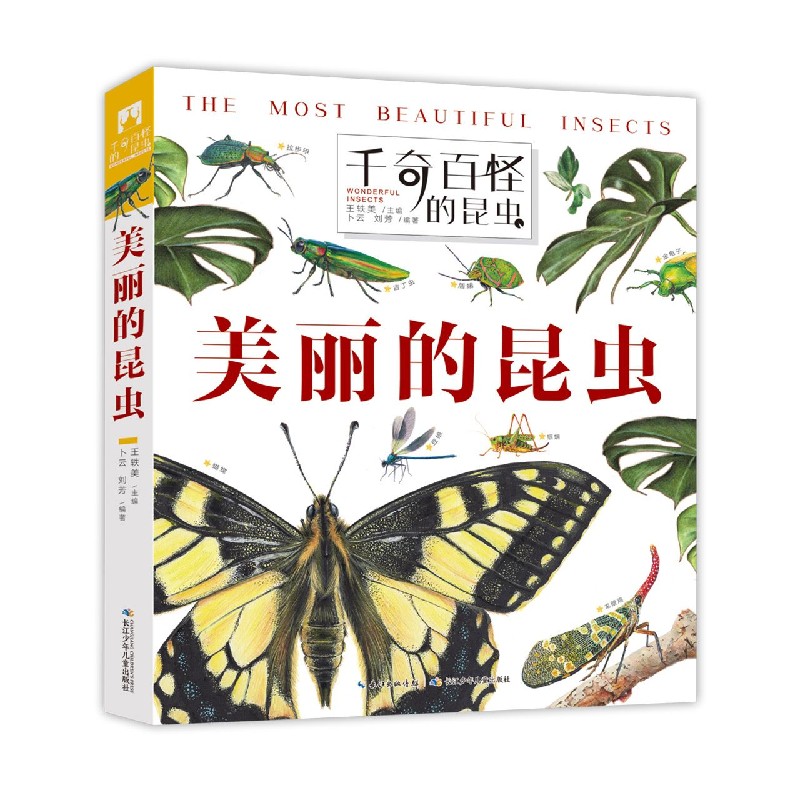 美丽的昆虫/千奇百怪的昆虫