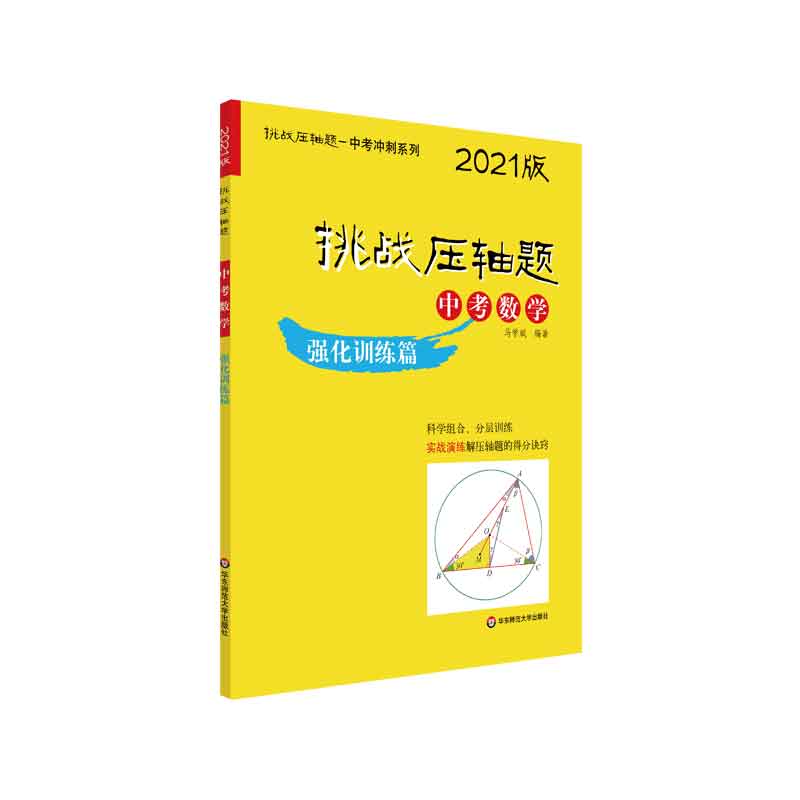 中考数学（强化训练篇2021版）/挑战压轴题中考冲刺系列