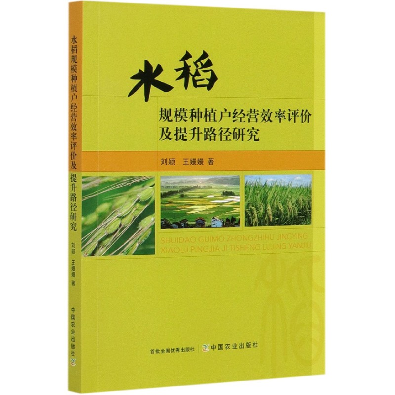 水稻规模种植户经营效率评价及提升路径研究