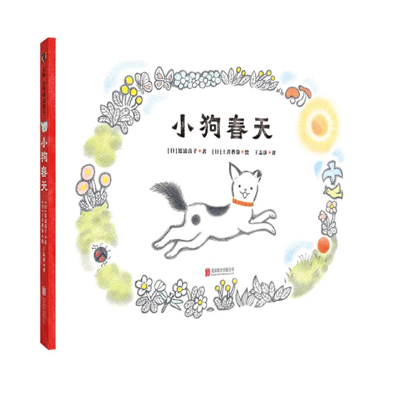 小狗春天(精)
