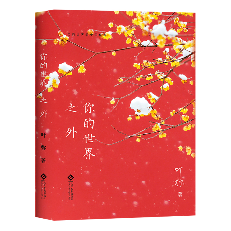你的世界之外