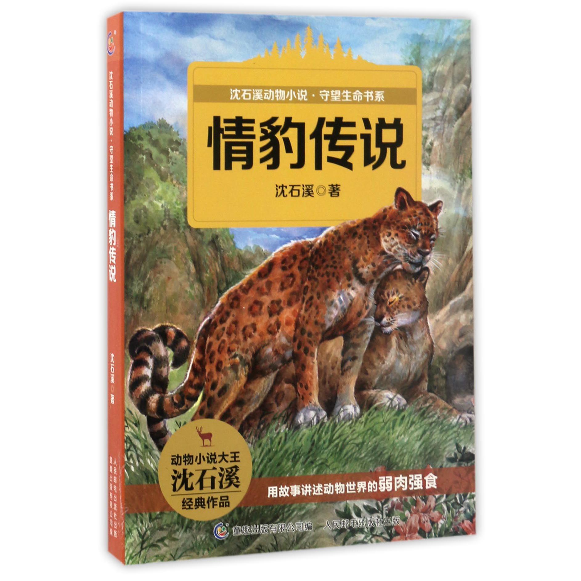 情豹传说/沈石溪动物小说守望生命书系