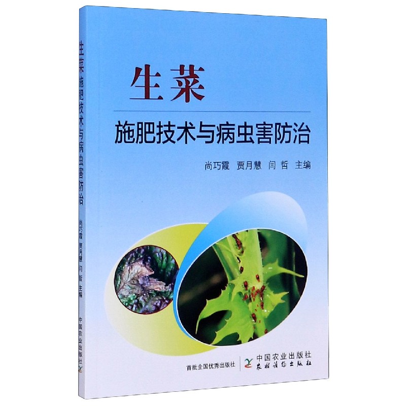 生菜施肥技术与病虫害防治
