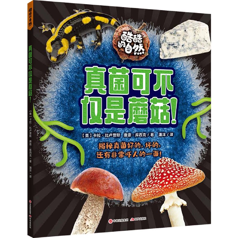 真菌可不仅是蘑菇/酷酷的自然