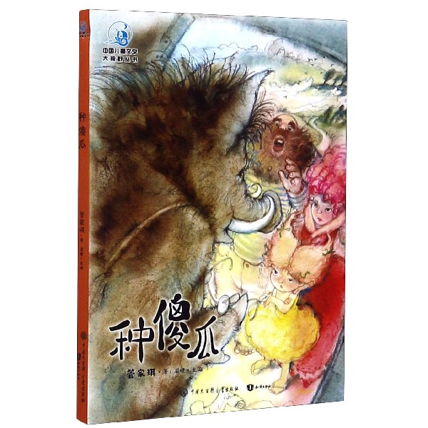 种傻瓜/中国儿童文学大视野丛书
