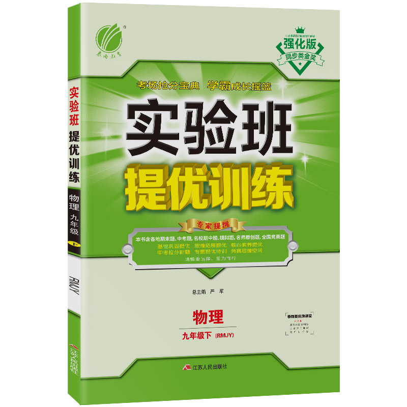 实验班提优训练 九年级下册 初中物理 人教版 2021年春新版