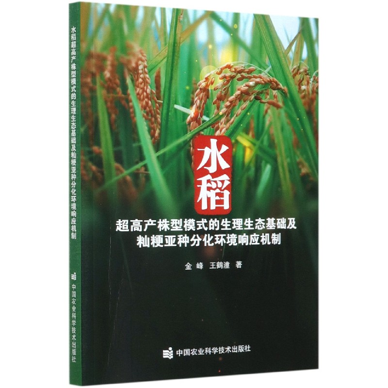 水稻超高产株型模式的生理生态基础及籼粳亚种分化环境响应机制