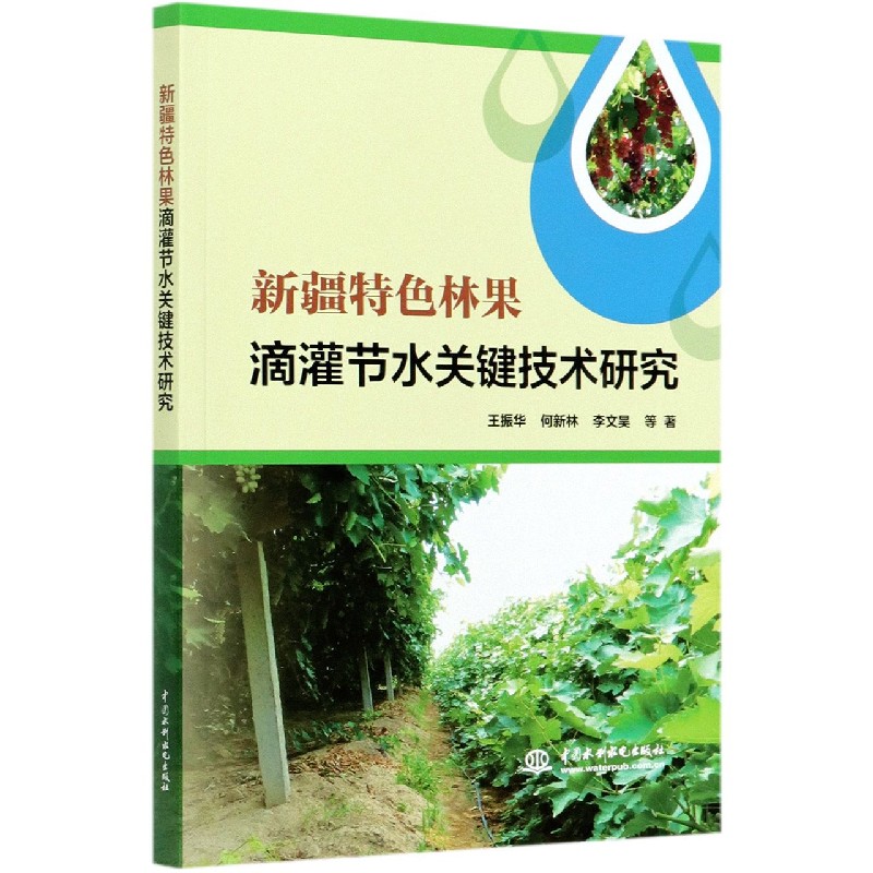 新疆特色林果滴灌节水关键技术研究