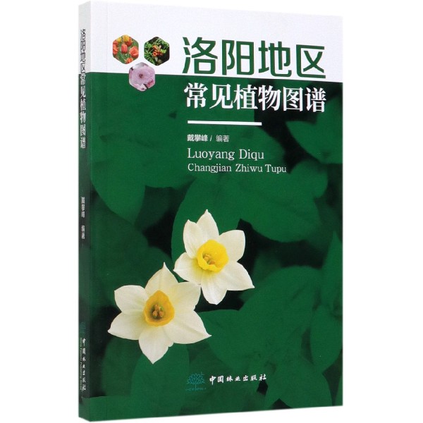 洛阳地区常见植物图谱