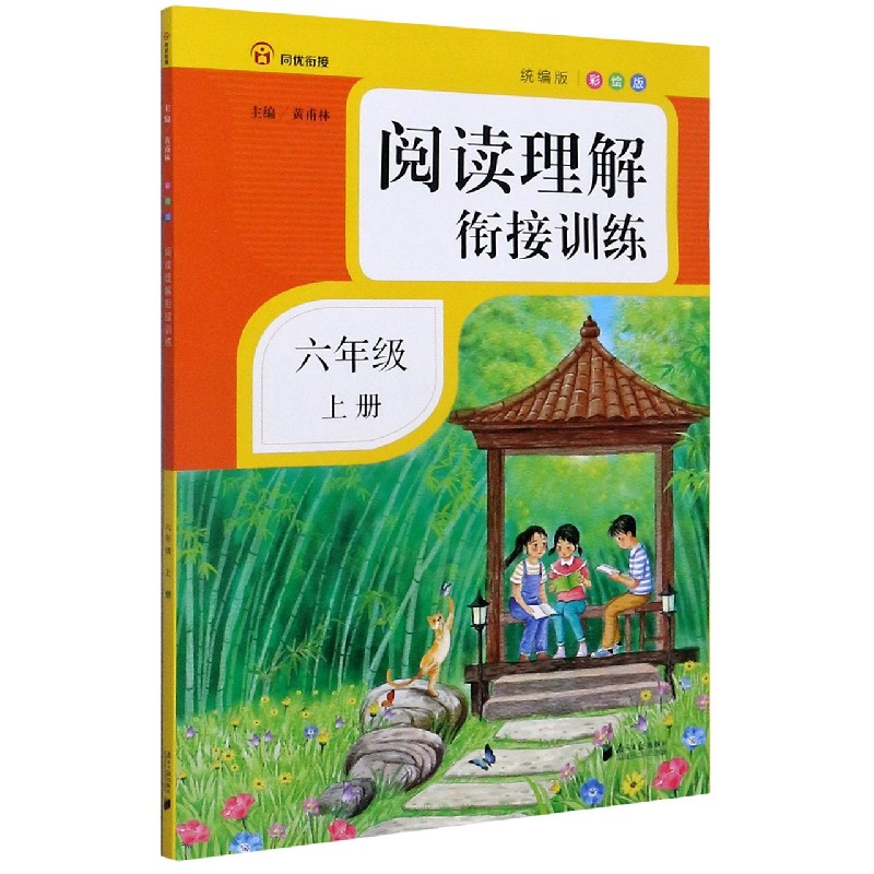 阅读理解衔接训练（6上统编版彩绘版）